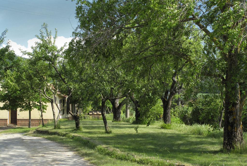 Agriturismo Il Casalone Montepulciano Stazione Exterior foto